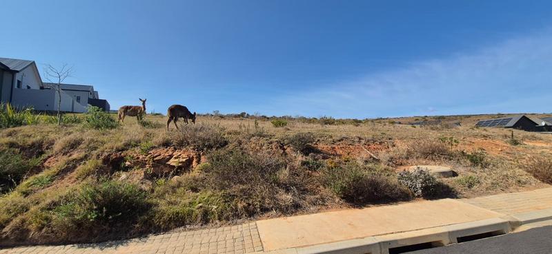 0 Bedroom Property for Sale in Outeniquasbosch Western Cape